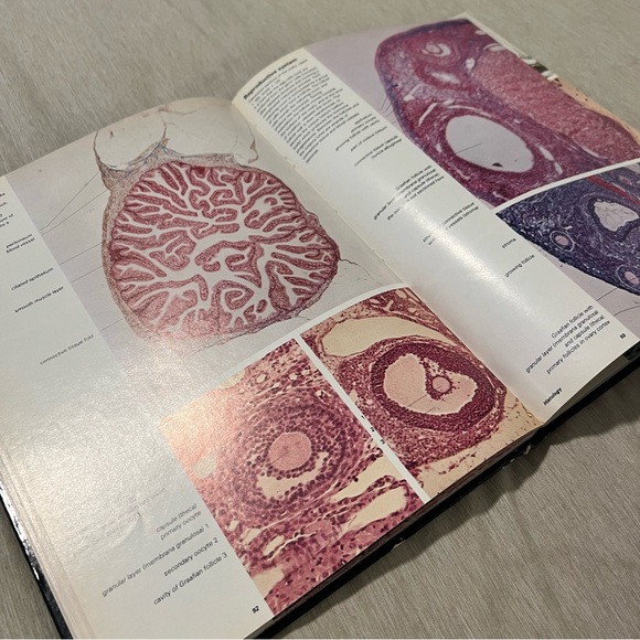 👑Vintage 1980 Biological Structures Atlas Krommenhoek Sebus Esch Hardcover - Picture 14 of 14